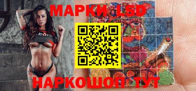 шишки Новодвинск