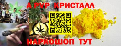 индика Новозыбков