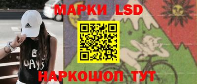 индика Новозыбков