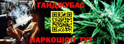 шишки Новодвинск