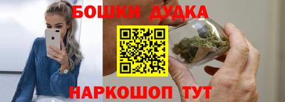 шишки Новодвинск