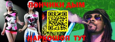 шишки Новодвинск
