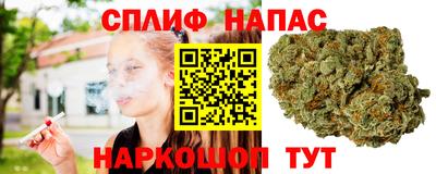 индика Новозыбков