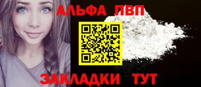 шишки Новодвинск