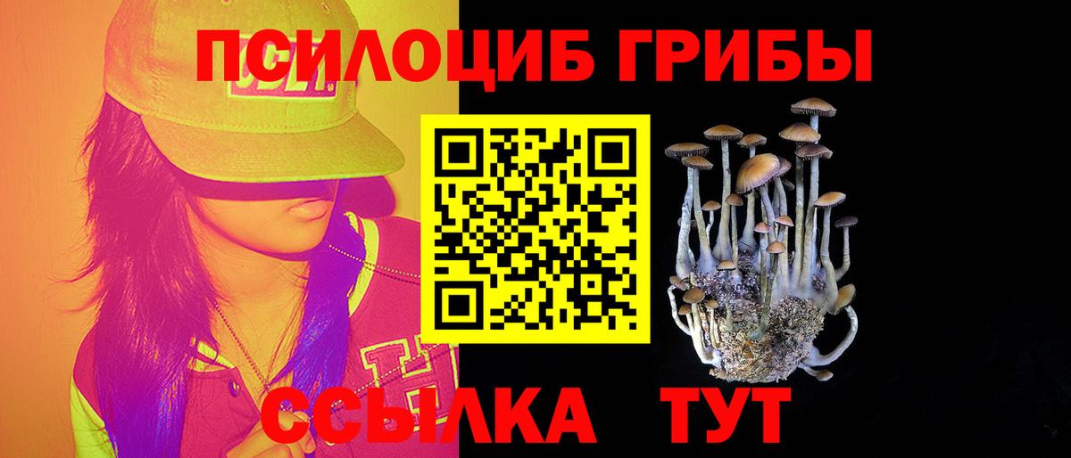 Псилоцибиновые грибы Cubensis Сургут